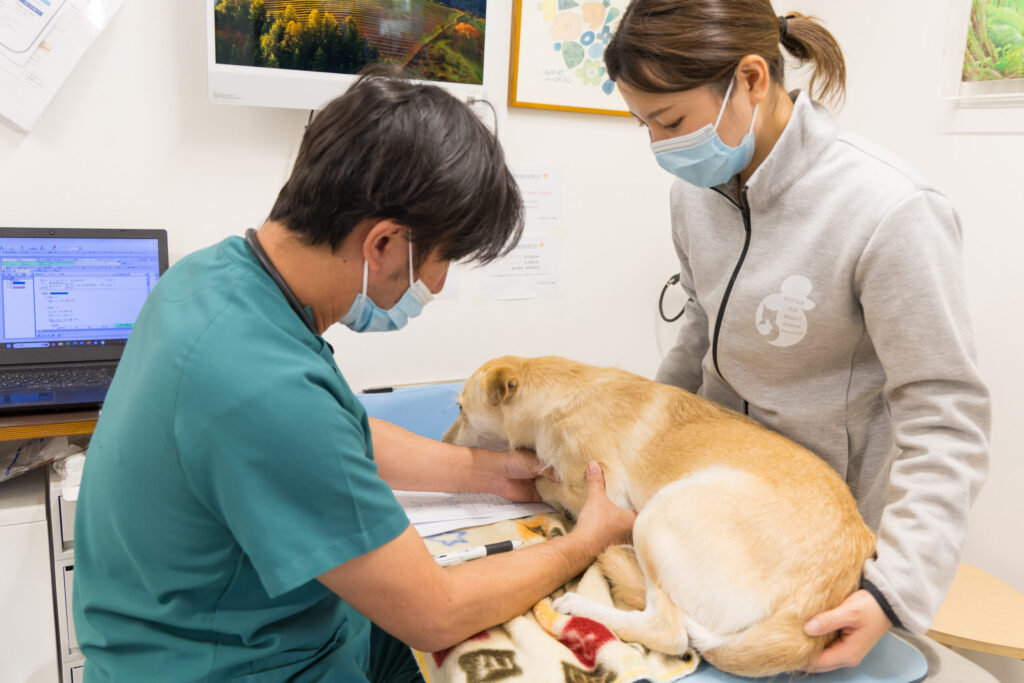 広尾の森どうぶつ病院