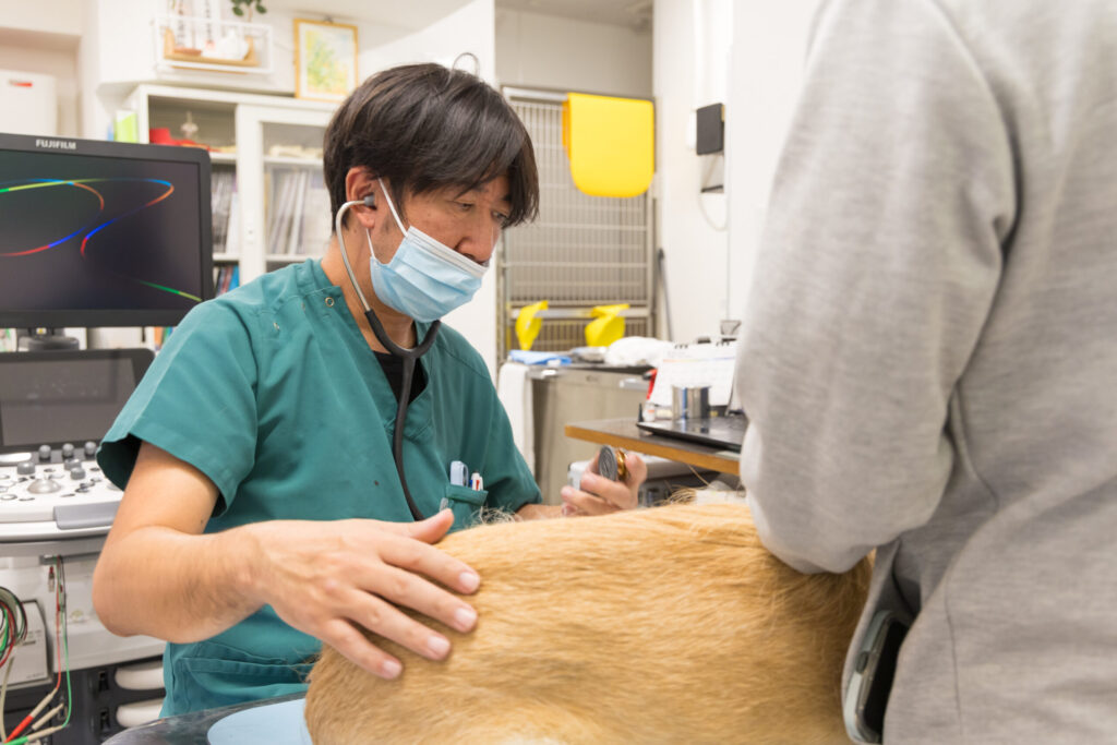 広尾の森どうぶつ病院