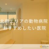 【2025年】北摂エリアの動物病院 おすすめしたい5医院