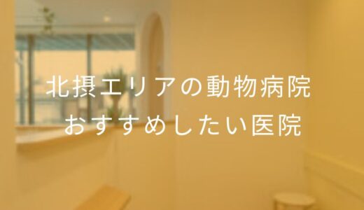 【2025年】北摂エリアの動物病院 おすすめしたい5医院