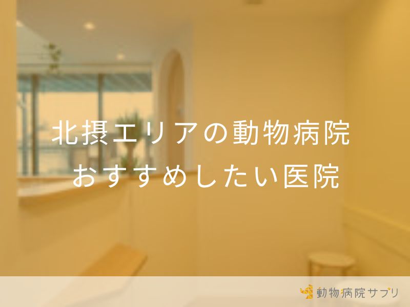 北摂エリアの動物病院 おすすめしたい医院