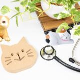 猫専門の動物病院とは？一般的な動物病院との違いやメリット・デメリット、診療内容を解説