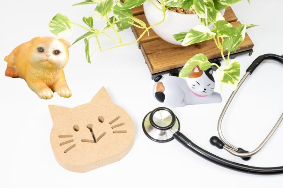 猫専門の動物病院とは？一般的な動物病院との違いやメリット・デメリット、診療内容を解説