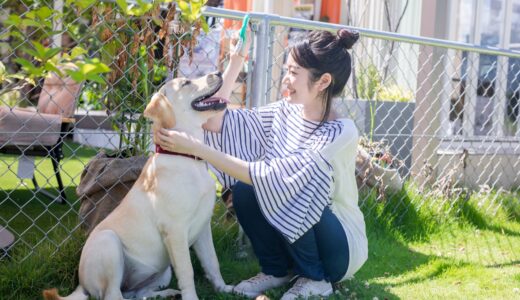 【ペットホテル利用】餌を小分けにして準備するメリットや確認ポイントを解説！