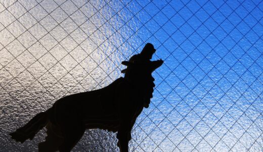 しつけ教室で吠え癖を直す方法｜教室の選び方や自宅での対策法、効果を持続させるコツも解説