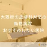 【2025年】大阪府の皮膚科対応の動物病院 おすすめしたい5医院