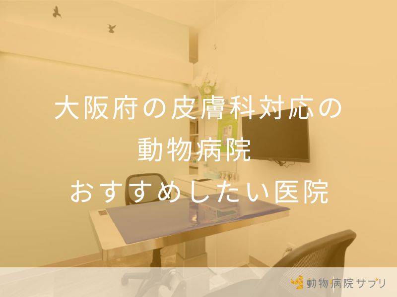 大阪府の皮膚科対応の 動物病院 おすすめしたい医院