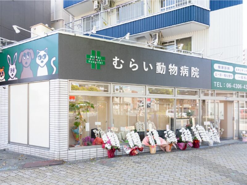むらい動物病院
