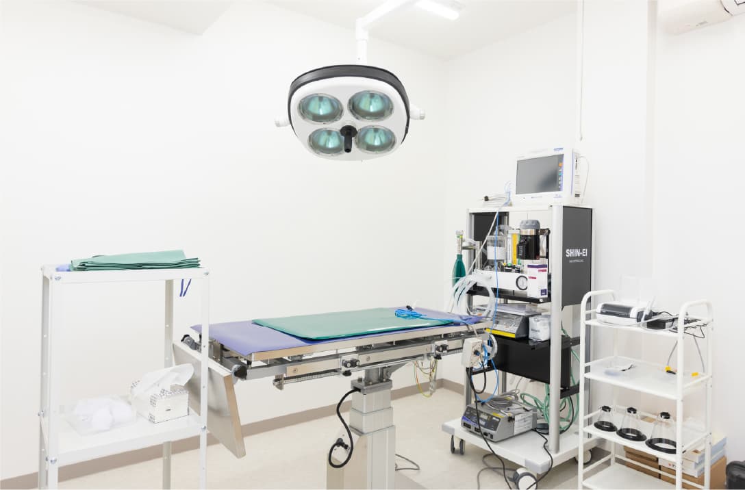 むらい動物病院