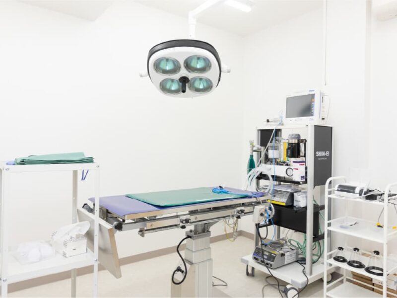 むらい動物病院