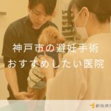 【2025年】神戸市の避妊手術 おすすめしたい6医院