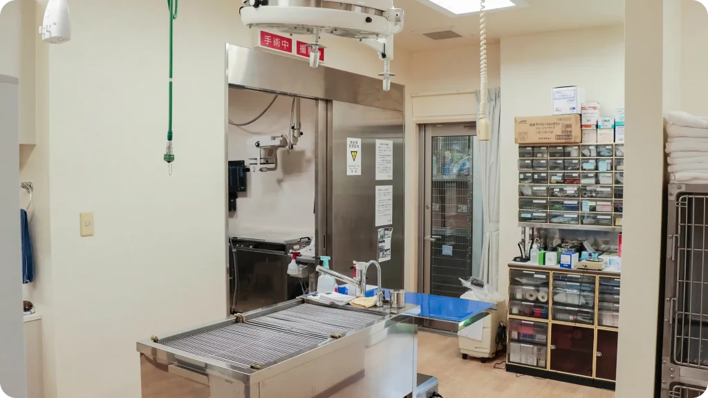 おおした動物病院