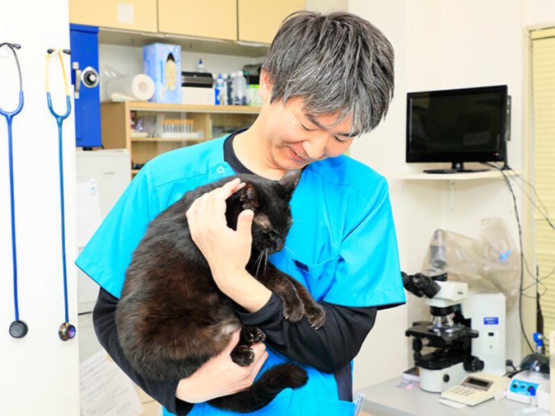 瀬田アニマルクリニック