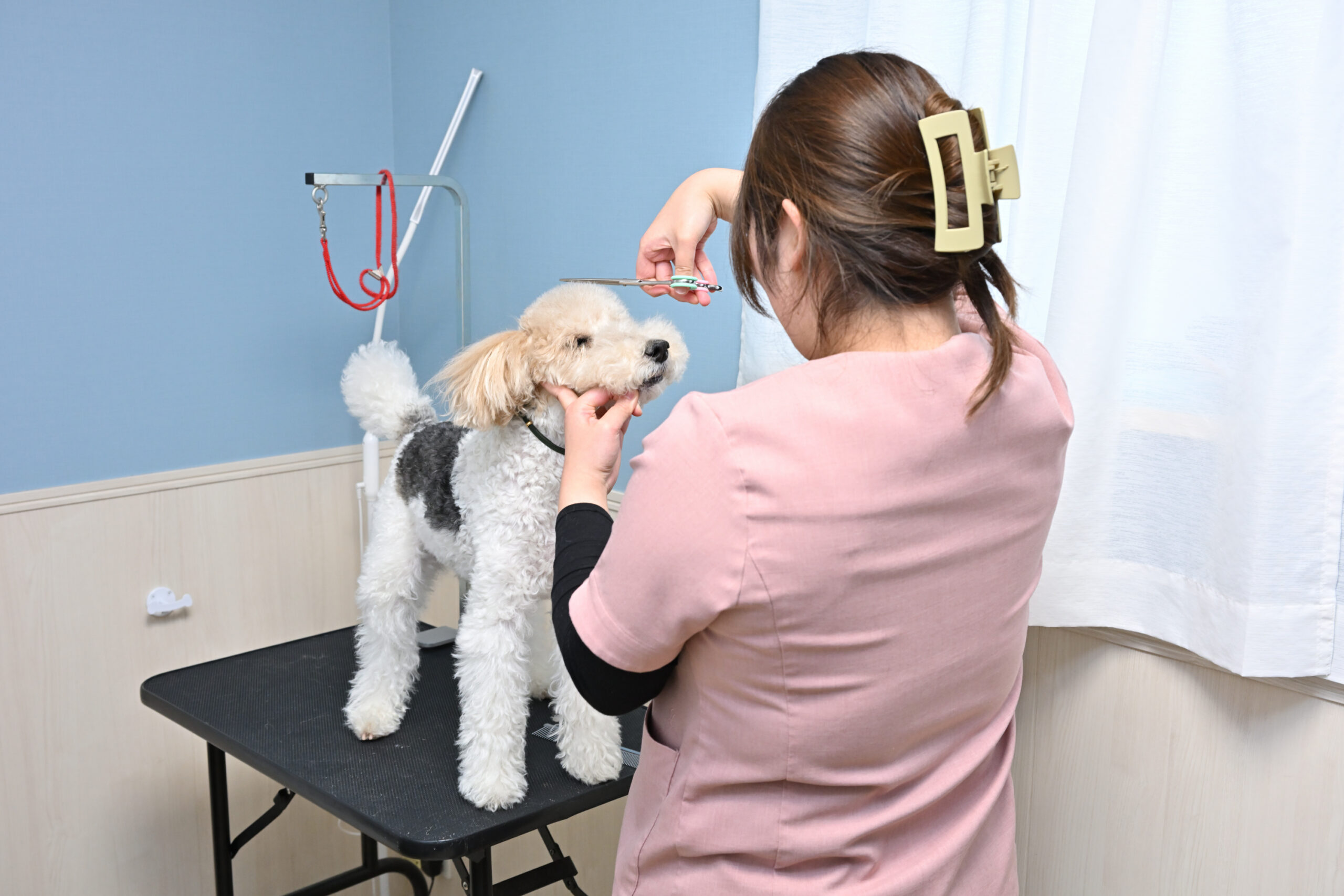 よもぎ動物病院photo