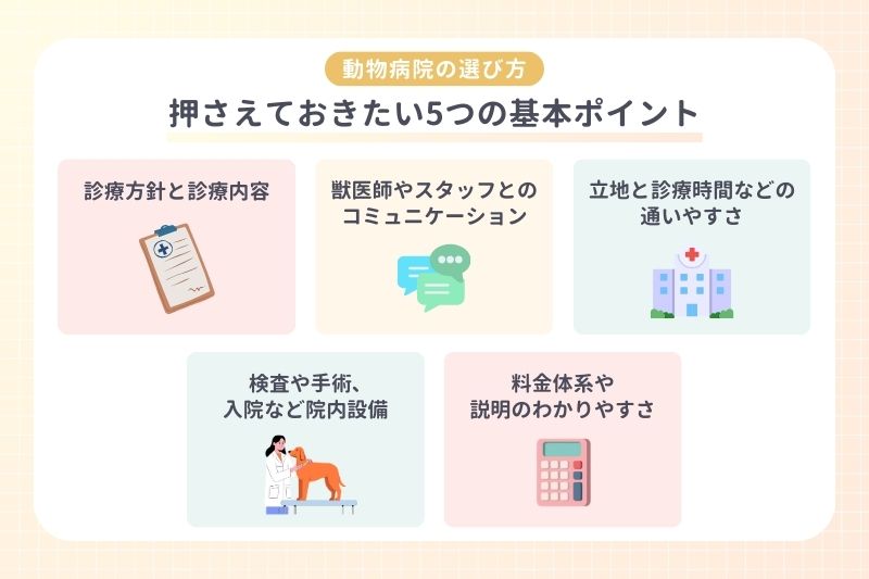 【動物病院の選び方】押さえておきたい5つの基本ポイント