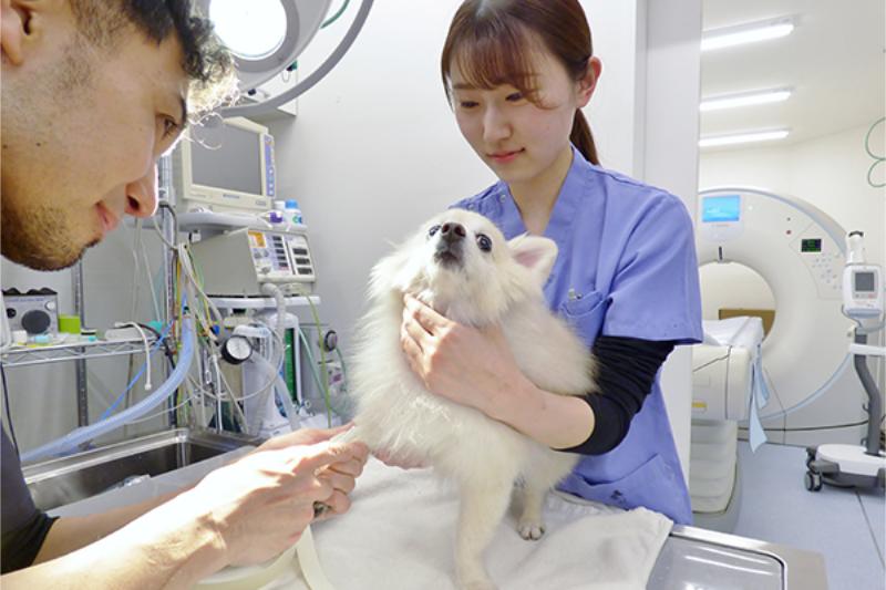 もりかわ動物病院