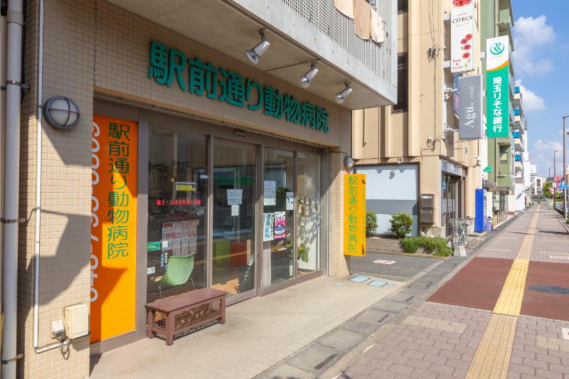 駅前通り動物病院