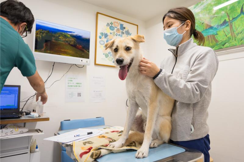 広尾の森どうぶつ病院