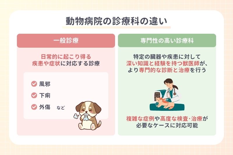 動物病院の診療科の違い