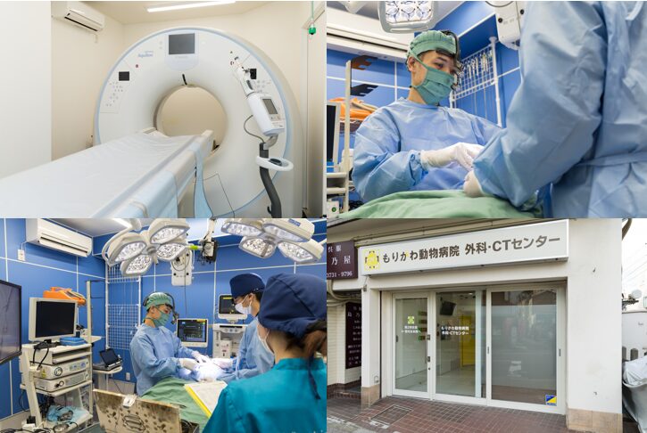 もりかわ動物病院