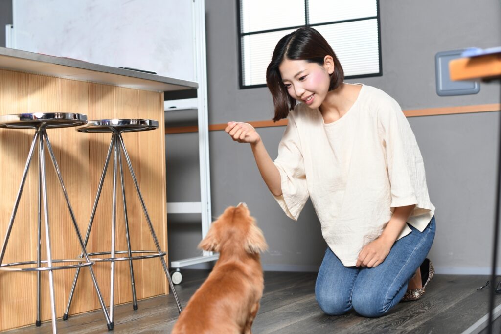 犬のしつけをする若い女性の飼い主