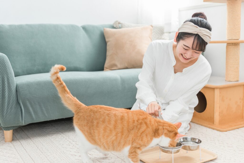 キャットフードを餌皿に入れる女性