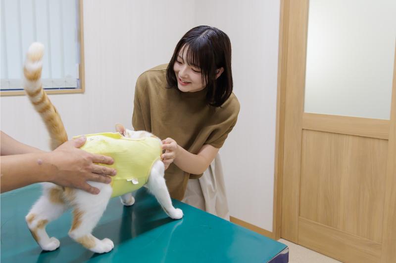 カシェットどうぶつ病院photo