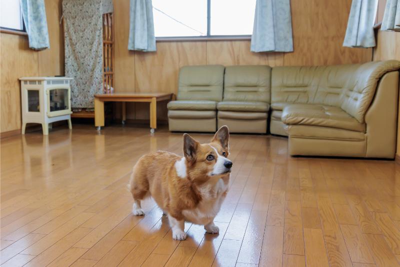 カシェットどうぶつ病院photo