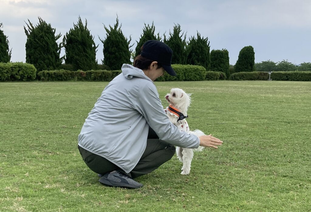 飼い主と遊ぶ犬
