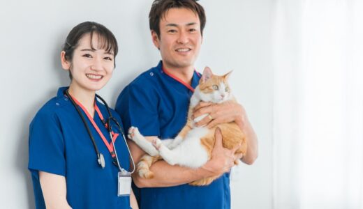 猫の尿石症の原因は？症状や治療方法、予防法についてわかりやすく解説