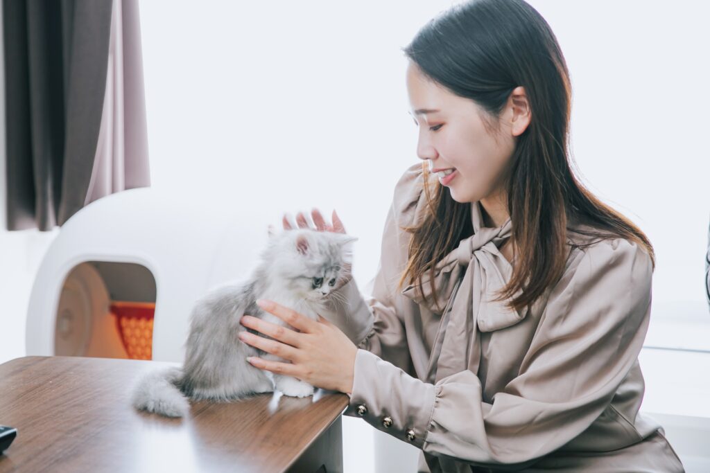 自宅で猫を飼う女性