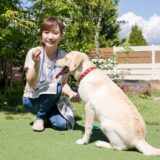 こわがりな犬のしつけが難しい理由やしつけ教室でのトレーニング内容などを詳しく解説