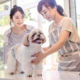 ワクチン前にトリミングはできない？接種が必要な理由や対処法について解説