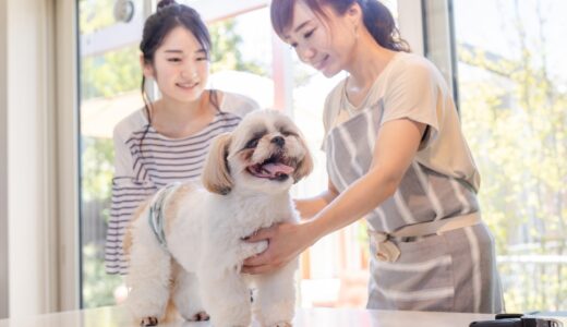 ワクチン前にトリミングはできない？接種が必要な理由や対処法について解説