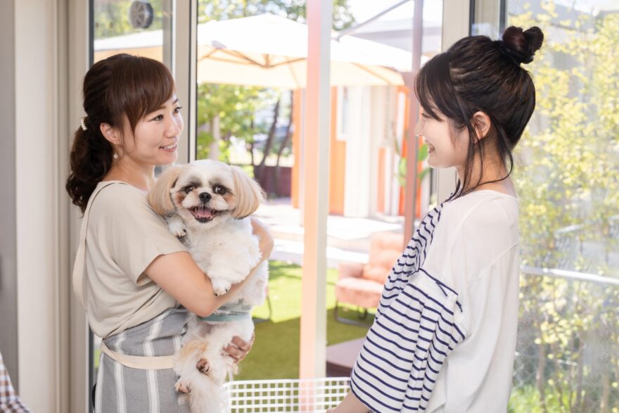 愛犬と遊ぶ女性