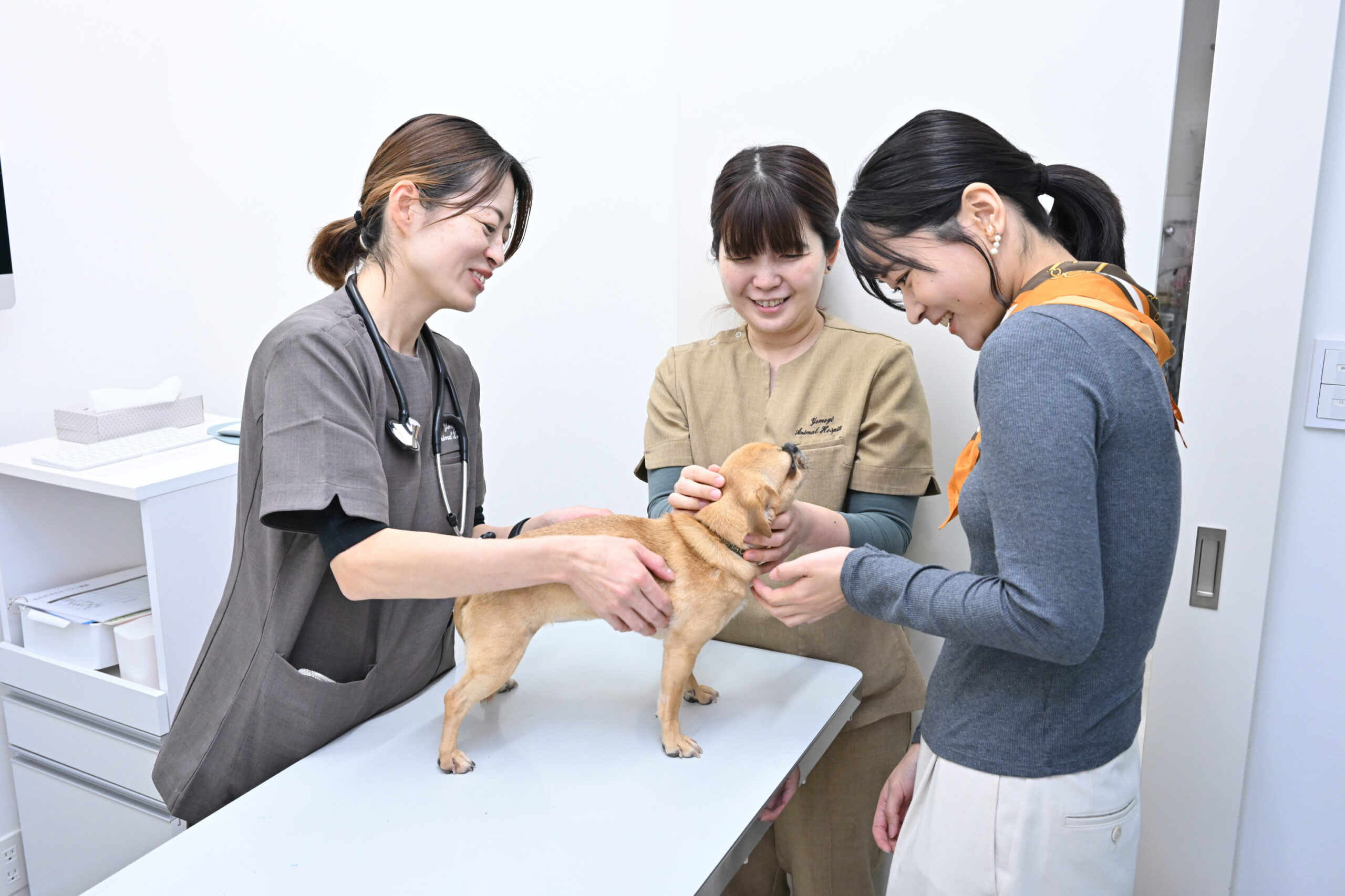 よもぎ動物病院photo