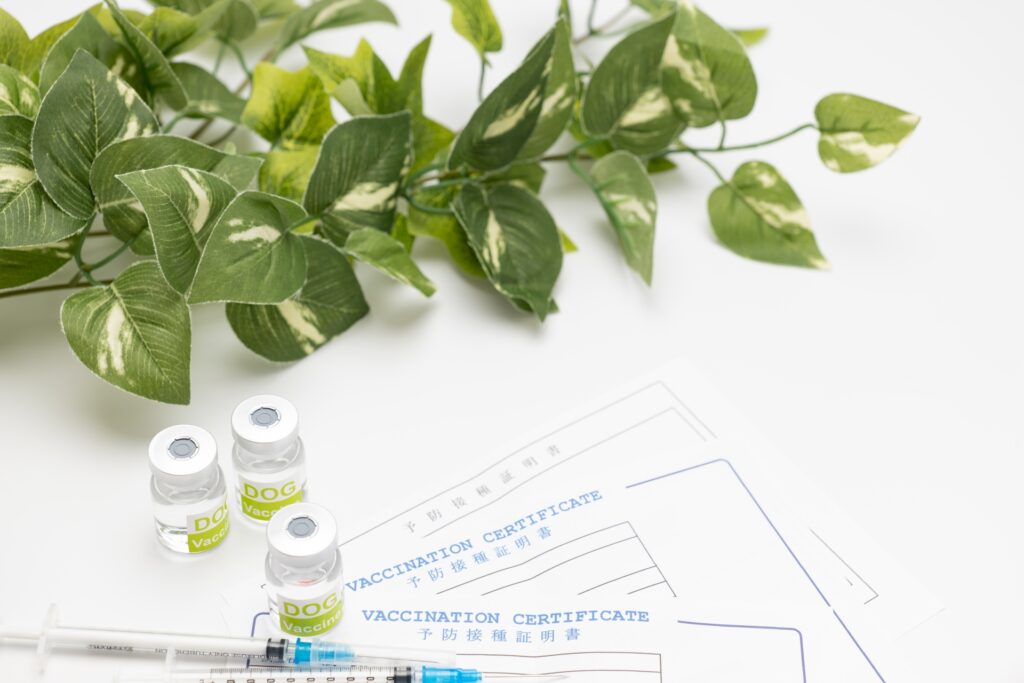 犬の予防注射