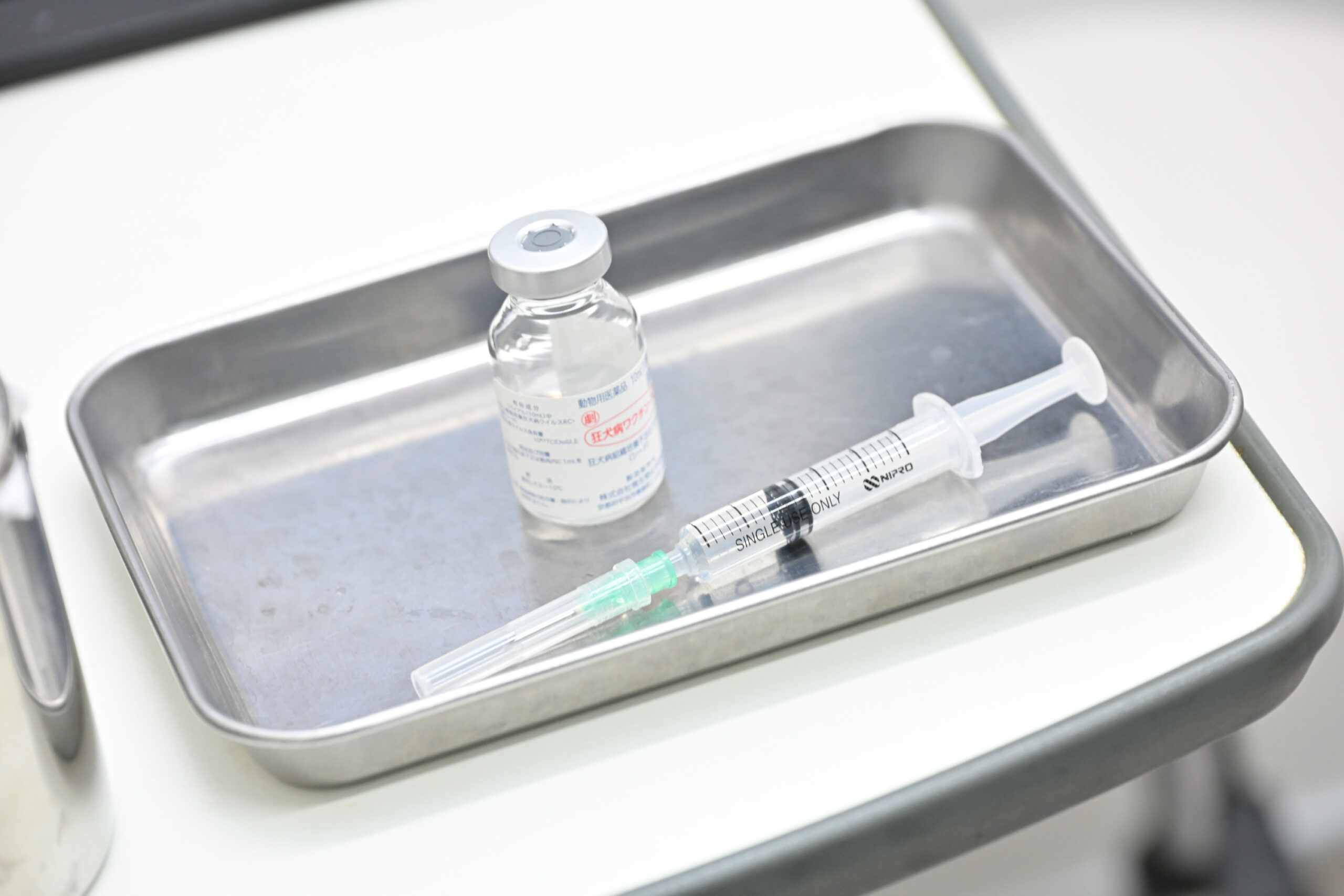 よもぎ動物病院photo