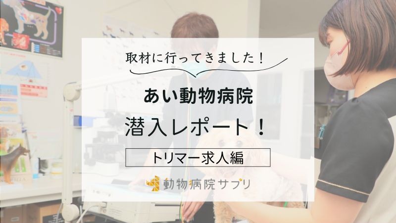 あい動物病院photo