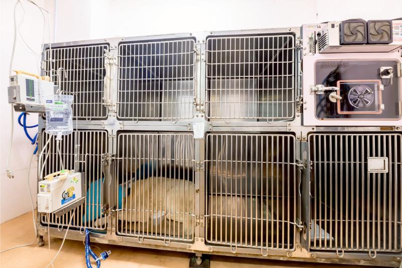 ハーモニー動物病院