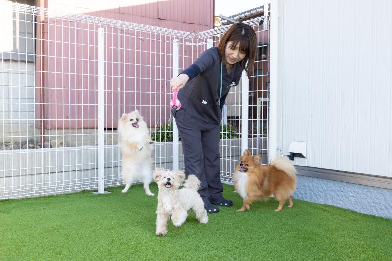 にしおおみや動物病院