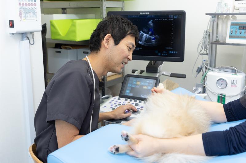 にしおおみや動物病院