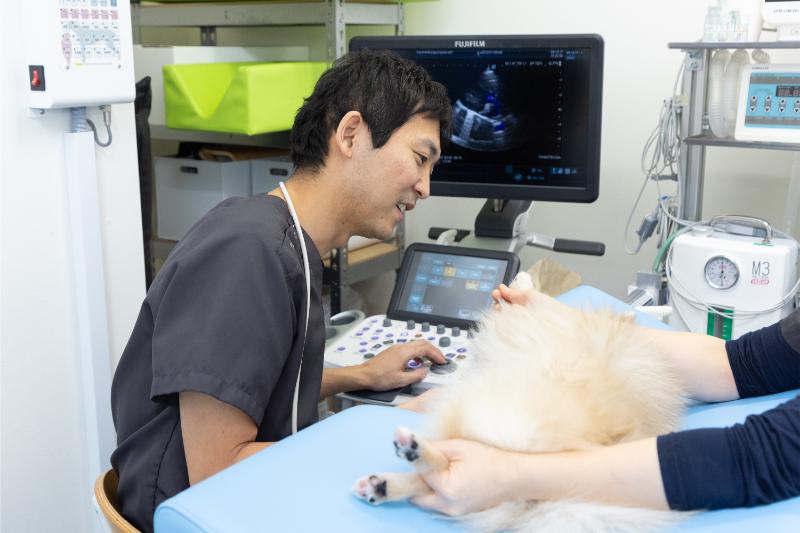 にしおおみや動物病院