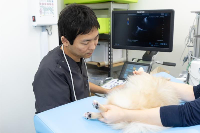 にしおおみや動物病院