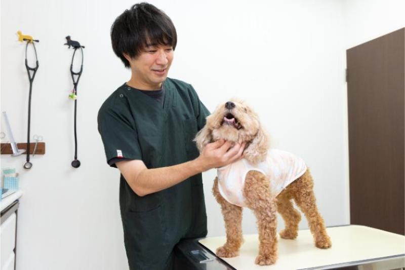 駅前通り動物病院