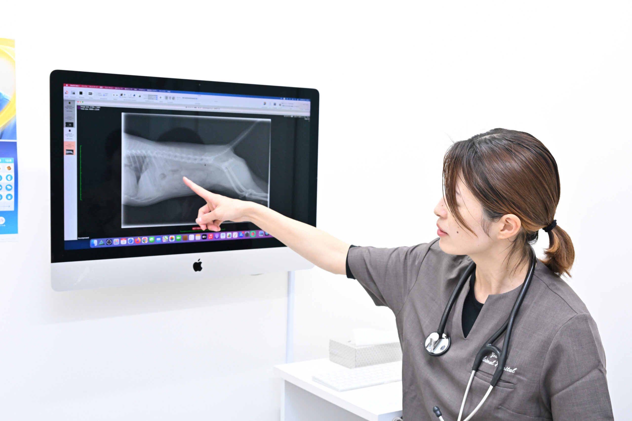 よもぎ動物病院photo