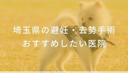 【2025年】埼玉県の避妊・去勢手術 おすすめしたい6医院