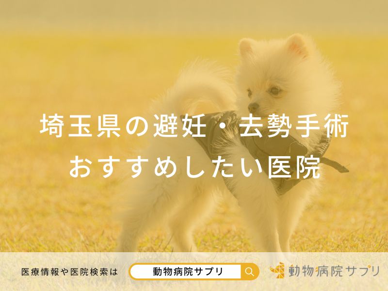 埼玉県の避妊・去勢手術 おすすめしたい医院