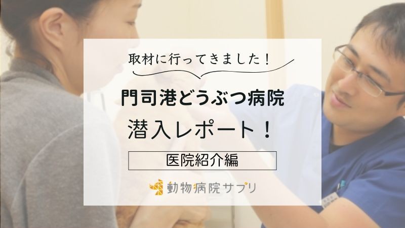 門司港どうぶつ病院photo