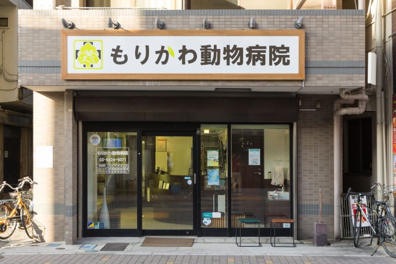 もりかわ動物病院